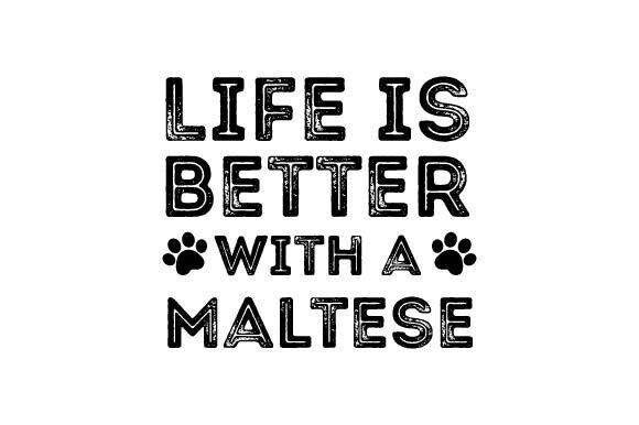 Retro Maltese Dog SVG: Graphics for T-Shirt Designs & Local Branding